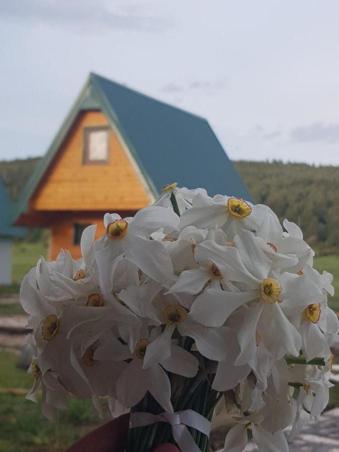Bungalovi Tim Žabljak Eksteriør billede
